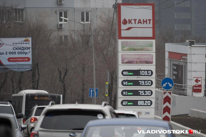 Источник: Елена Буйвол / VLADIVOSTOK1.RU