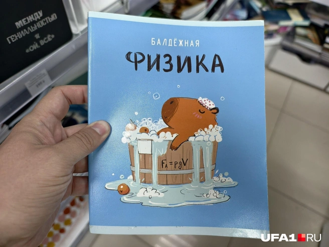 Предметные тетради с милой капибарой — 89 рублей за штуку | Источник: Булат Салихов / UFA1.RU