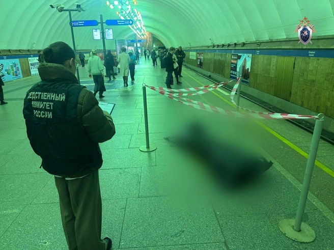 Источник: ГУ СК России по городу Санкт-Петербургу