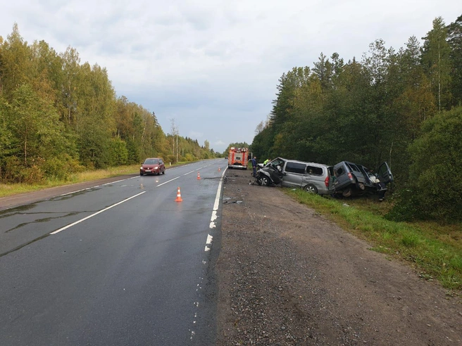 Источник: пресс-службе ГУ МВД по Петербургу и Ленобласти