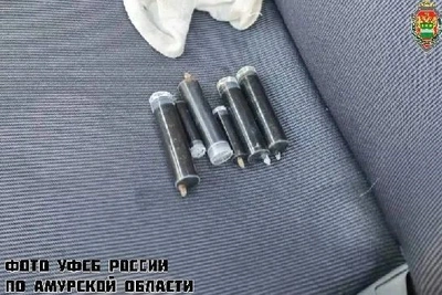 Житель Приамурья получил срок за наркотики