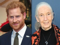 86-летняя подруга принца Гарри рассказала о его жизни в Лос-Анджелесе