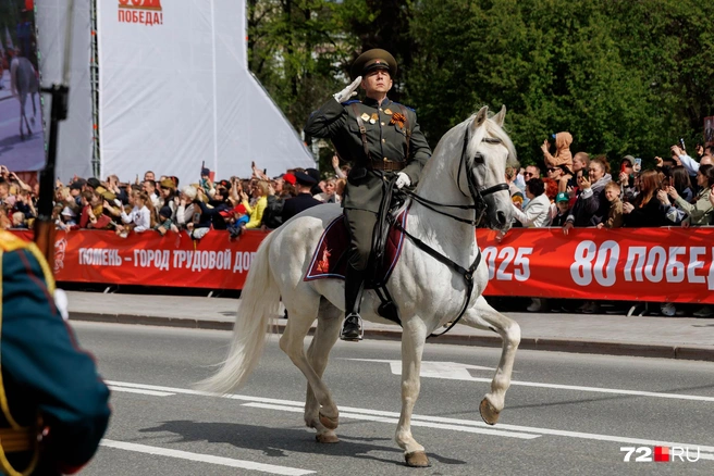 Животных можно встретить и на главной улице Тюмени. На параде в честь 9 Мая | Источник: Ирина Шарова / 72.RU