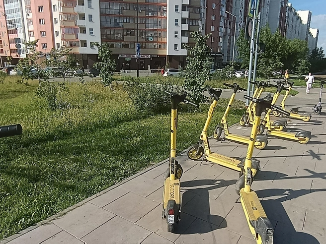 Траву скосили только возле стоянки самокатов, дальше — нет | Источник: читатель 74.RU