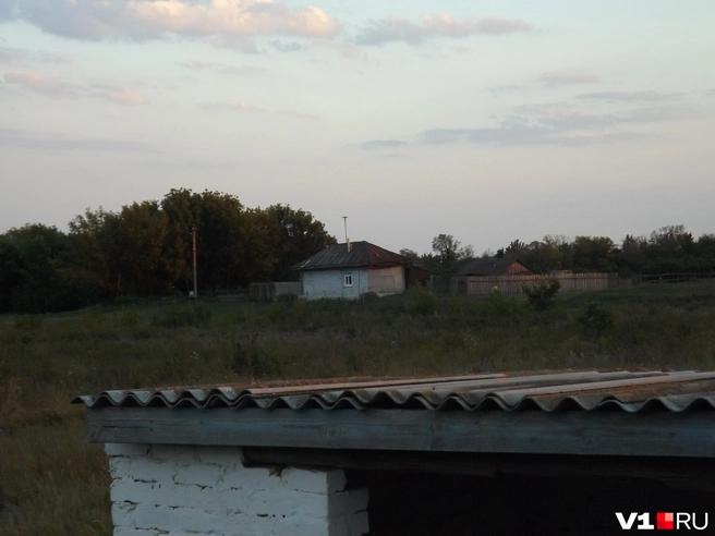 Про Николая Мухина соседи отзываются положительно | Источник: Денис Паустовский / V1.RU
