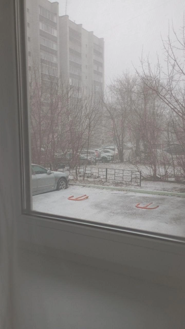Источник: читатель НГС