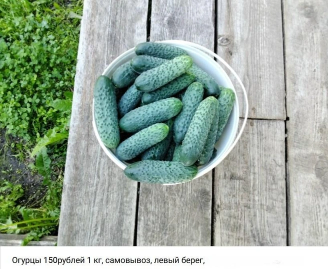 150 рублей за килограмм | Источник: Архангельский онлайн рынок. Куплю. Продам. / Vk.ru