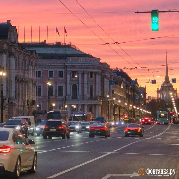 Источник: Алина Циопа / «Фонтанка.ру»