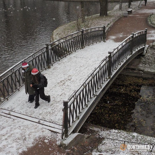 Источник: Михаил Огнев / «Фонтанка.ру»