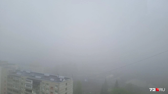 В городе плохая видимость | Источник: Анастасия Малышкина / 72.RU