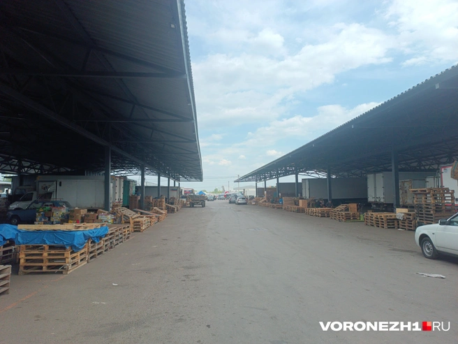 Источник: Алена Воропаева / Voronezh1.ru