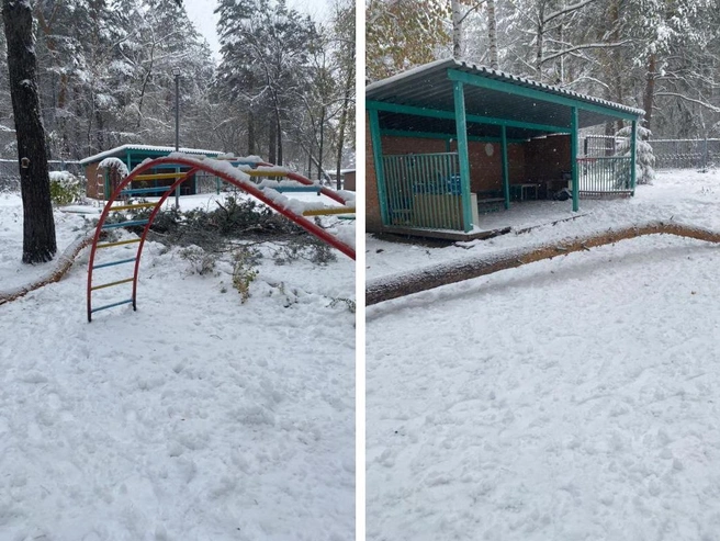 Мать ребёнка считает, что изогнутая форма ствола сосны предотвратила более серьёзные травмы. | Источник: «Моя Первомайка» / Telegram