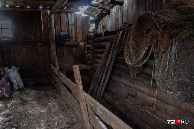 Некоторые жители Долгушино настолько ошарашены чумой, что не знают, будут ли снова когда-нибудь заводить свиней | Источник: Ирина Шарова / 72.RU