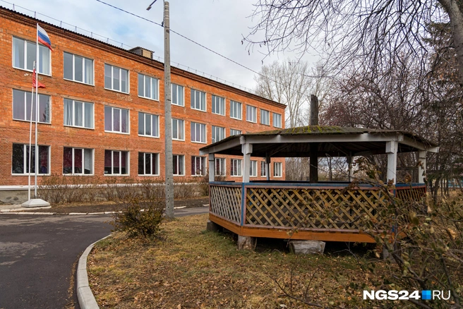 Домик на пеньках | Источник: Мария Ленц / NGS24.RU