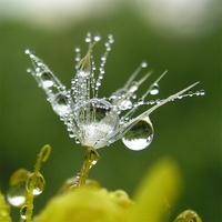 Аватарка Bykov