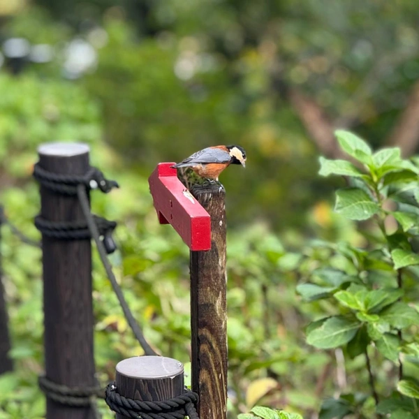 Источник: личный архив