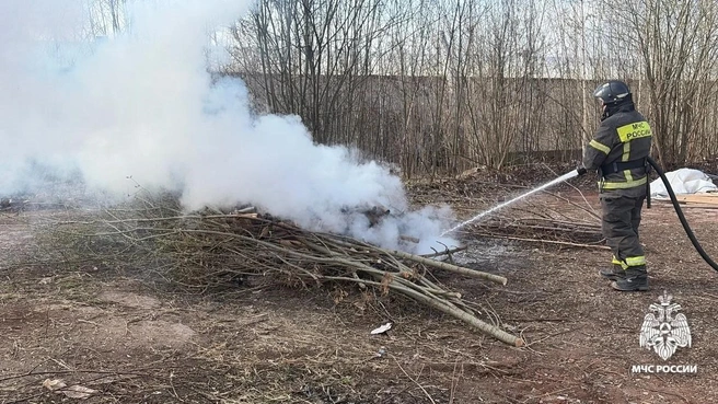 Спасатели тушили горящую растительность | Источник: МЧС Ярославской области / Max.ru