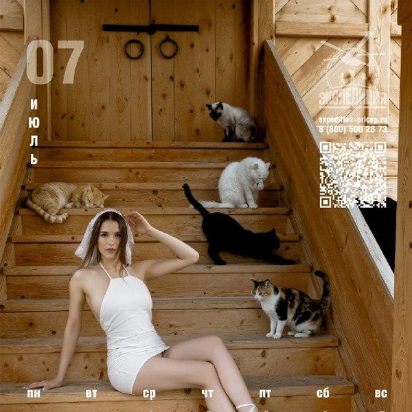Очень жаркий июль и коты | Источник: Краснокамский ремонтно-механический завод