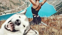 Очень смешные собаки и кошки, которые испортили людям фотографию