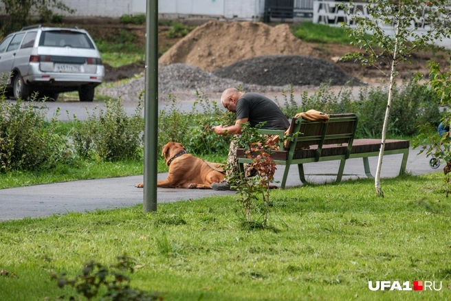 А еще выгулять друга | Источник: Булат Салихов / UFA1.RU