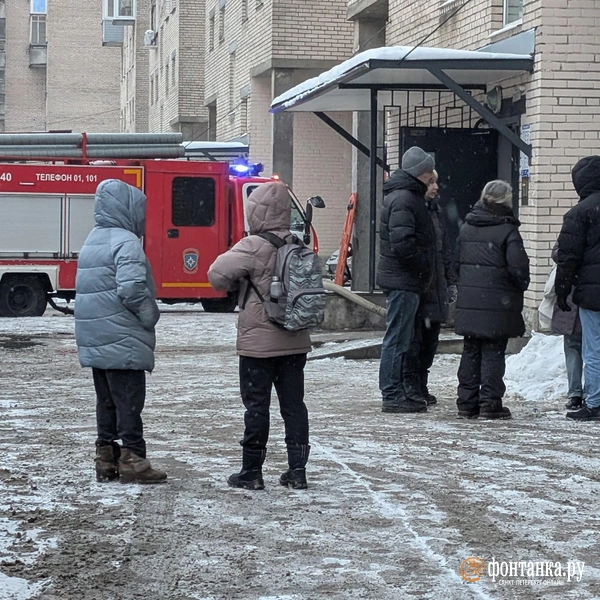 Источник: читательница «Фонтанки» Елена