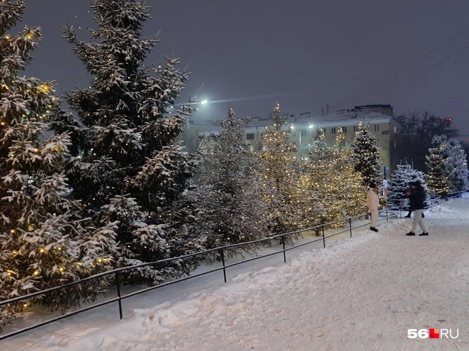 Источник: Анастасия Баринова / 56.RU