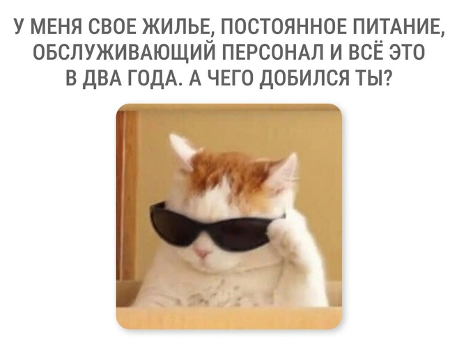 И не поспоришь | Источник: Мария Романова / Городские медиа