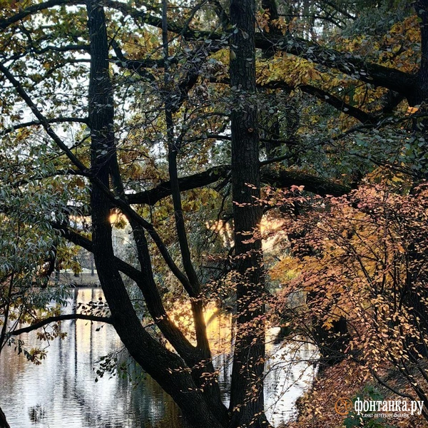 Источник: читатель «Фонтанки»