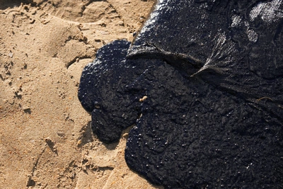 Anapa fuel oil spill anniversary: cleanup delays, blame game