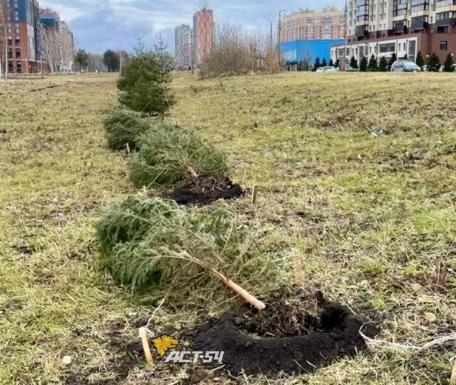 Ветер валил деревья, срывал крыши и остекления балконов | Источник: «АСТ-54» / «ВКонтакте»