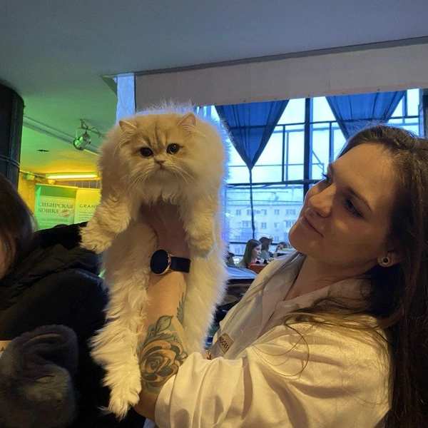 Источник: Ирина Господаренко / NGS22.RU