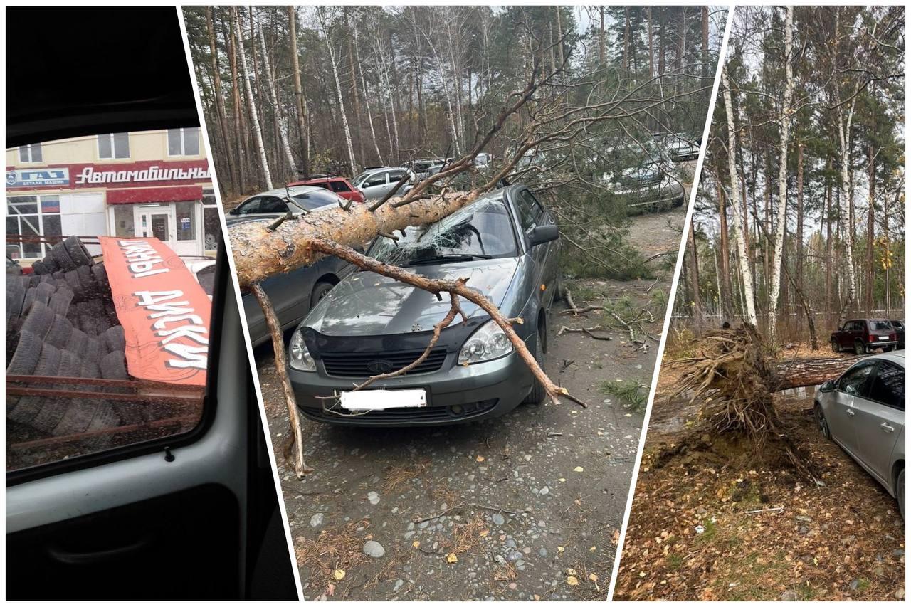 В Барнауле сильный ветер целый день разрушает город — подборка фото и видео  последствий урагана в Алтайском крае - 23 октября 2023 - НГС22.ру