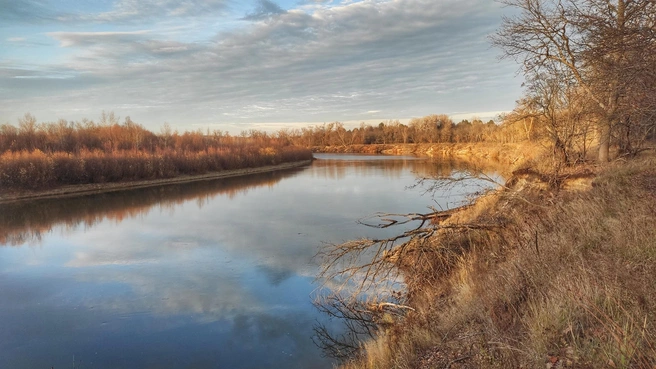 Источник: Ирина Голоколенова