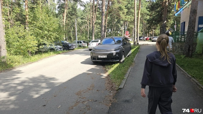 Больше всего притаившихся в кустах машин у станции детской железной дороги «Зоопарк» | Источник: читатель 74.RU