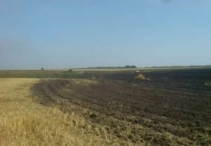 Огонь уничтожил урожай овса в Захаровском районе | ya62.ru