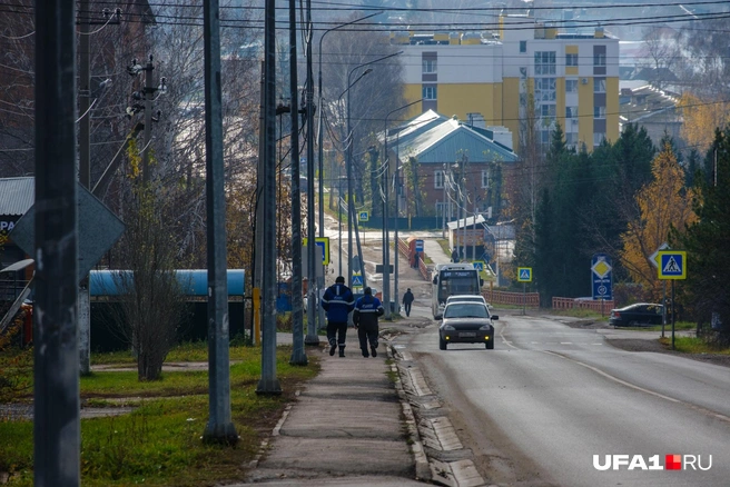 Возможно, догоняет этих двоих | Источник: Булат Салихов / UFA1.RU