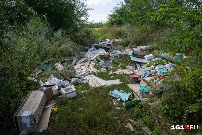 Хотелось бы, конечно, любоваться природой, а не рассматривать чьи-то коробки от сплитов, покрышки и банки с (наверное) краской | Источник: Евгений Вдовин / 161.RU