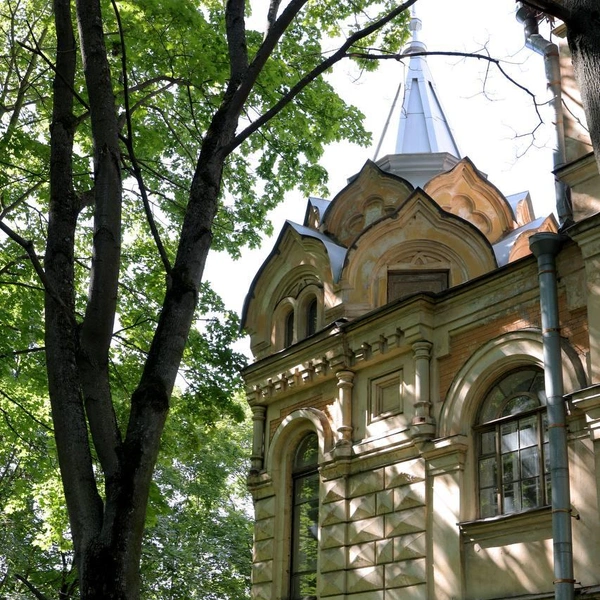 Источник: Дарья Драй / FONTANKA.RU