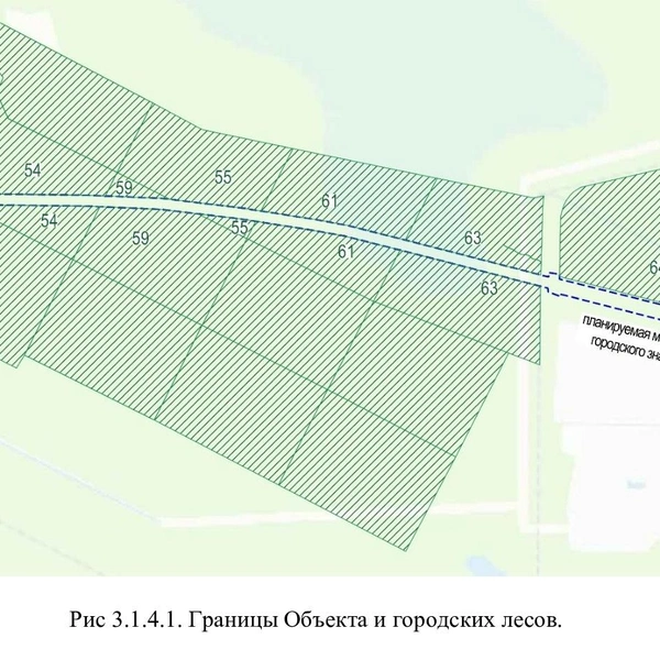 М-1 и земли городских лесов | Источник: Материалы общественных обсуждений