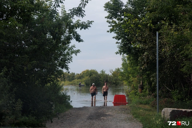 Если не по тропинке, пройти к домам можно только по воде | Источник: Ирина Шарова / 72.RU