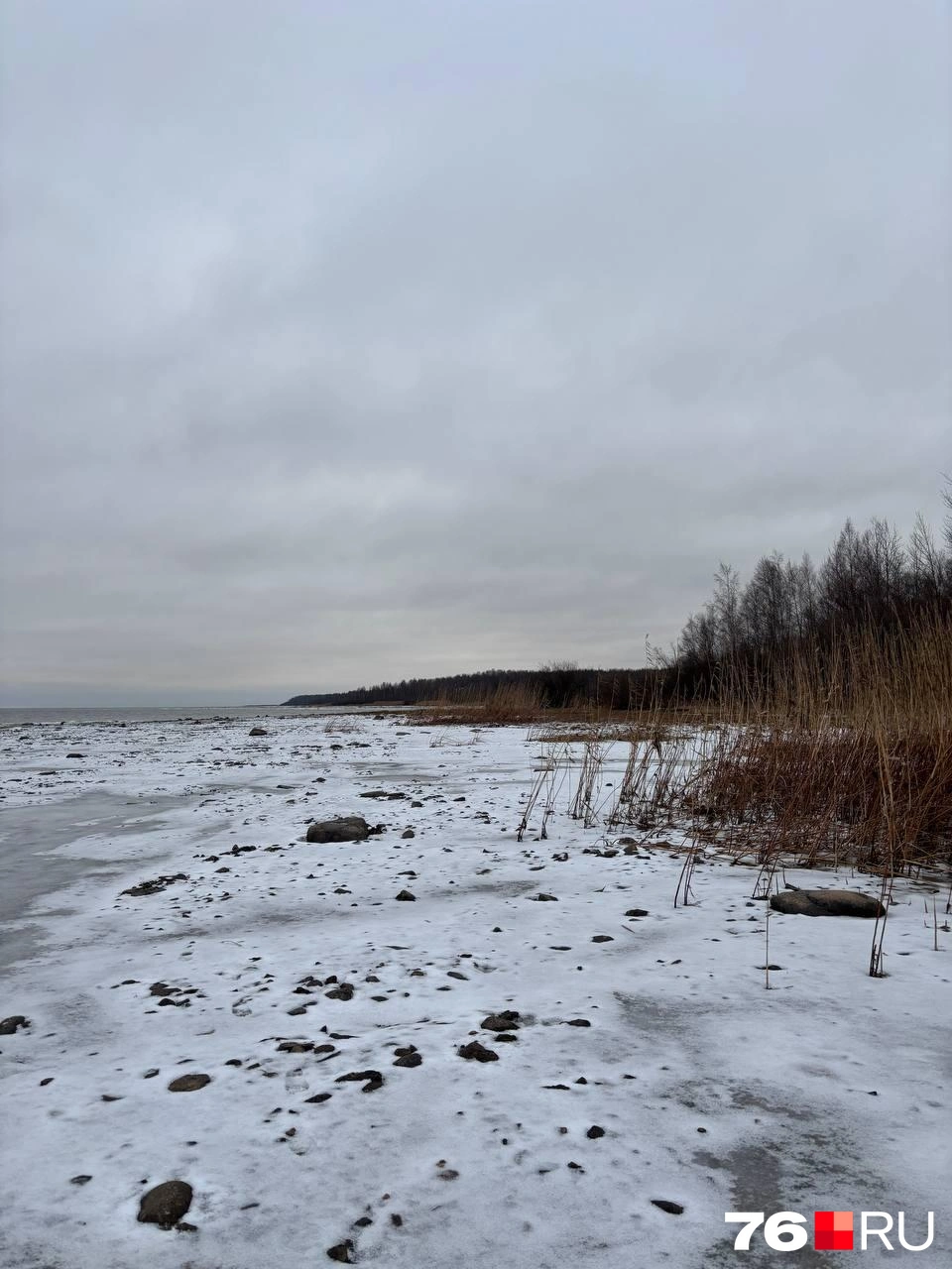 Несколько лет назад эта территория была под водой | Источник: читатель 76.RU