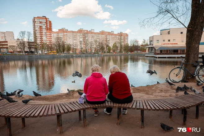 Хорошо, что есть места, где можно насладиться отдыхом у воды на лавочке | Источник: Александр Куренной / 76.RU