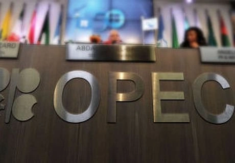 Цена нефтяной корзины ОПЕК достигла уровня 2004 года | ya62.ru