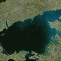 Жирный, всеядный, быстро растет. В Азовском море может остаться один вид рыбы, да и тот чужеродный