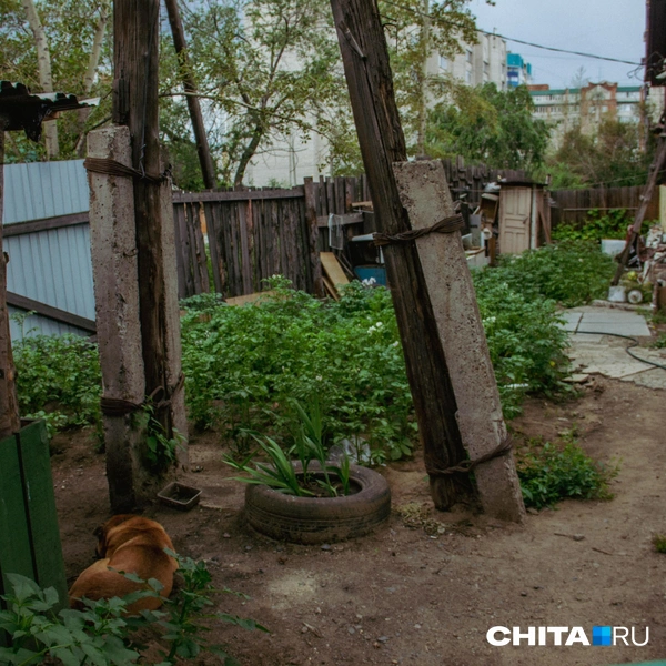 Источник: Руслан Симушин / CHITA.RU