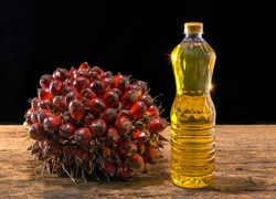 Это опасно: 10 продуктов с пальмовым маслом, которые никогда нельзя есть