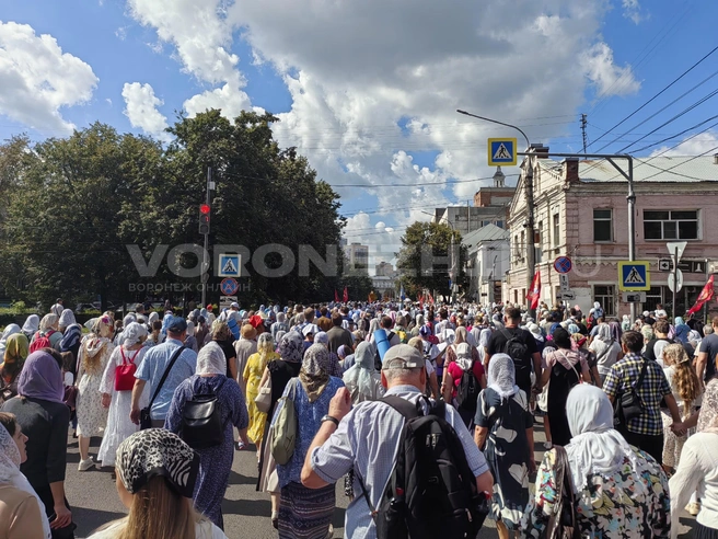 Источник: Андрей Пашинский / Voronezh1.ru