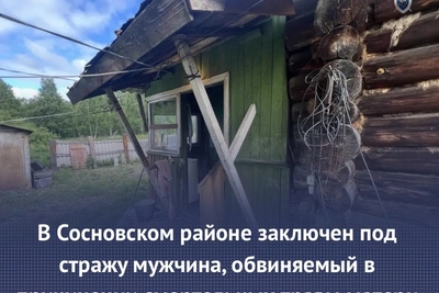 Сосновский район: сын заключен под стражу за гибель матери