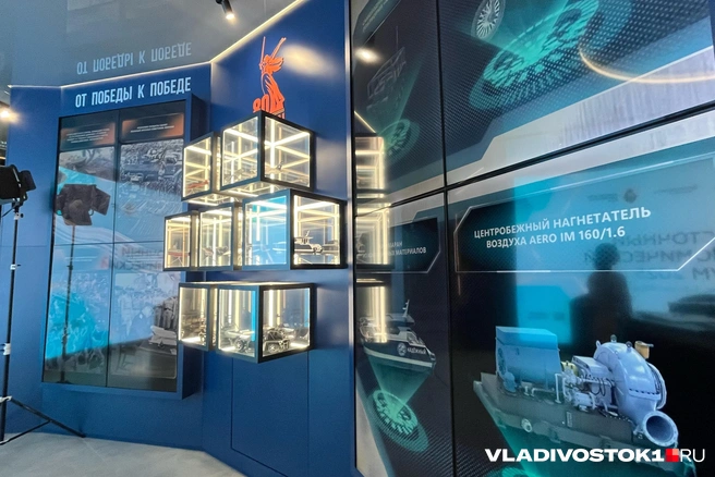 Источник: Елена Буйвол / VLADIVOSTOK1.RU