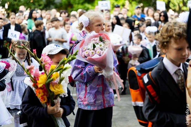 Источник: st.cherinfo.ru